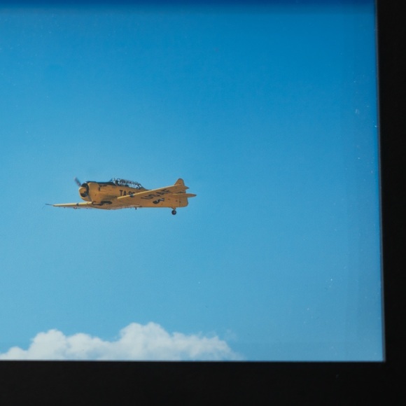 Yellow T-6 - Picture 5 of 6